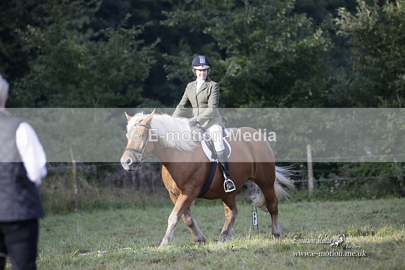 BVRC 120921 16 - Bourne Valley Riding Club UA Dressage & Show Jumping 12/09/21