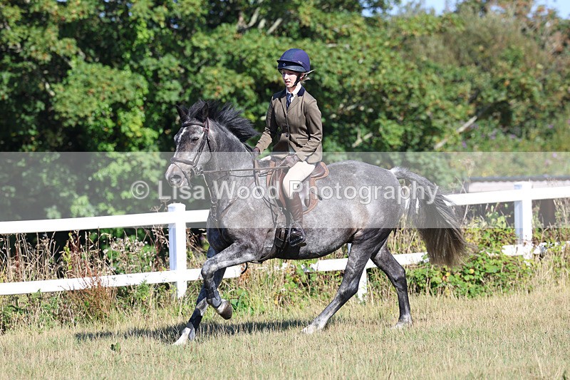 3E7A5524 - Class 3: Working Hunter 70cm