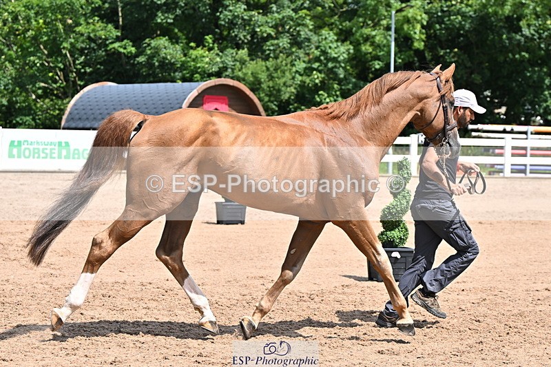 240718A-105250-01213 - Trot Up 12pm to 1pm