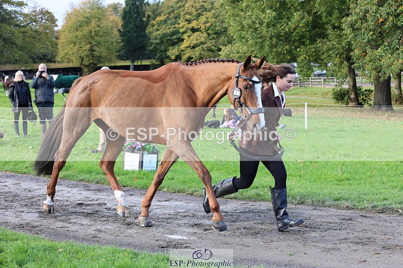 251026A-095951-22648 - D-368-Emma.Pine