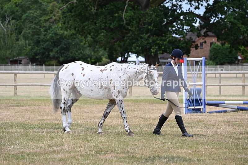 WJ6_4577 - Class 10 Coloured In-hand