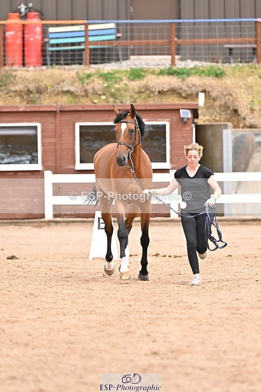 250716-153530-02036 - Trot Up 3.30 to 4.30