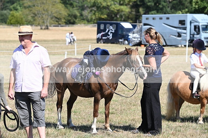 WJ6_9352 - Class 40 Cheekiest Pony/Horse