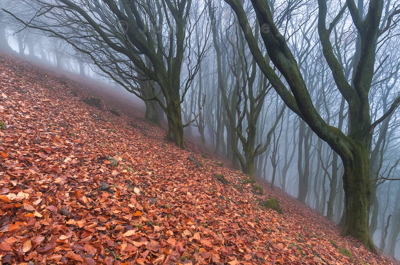 Vertigo. - Peak District & surrounding area