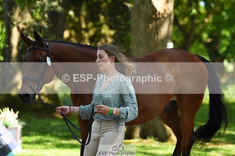 230524-154852-00522 - 377-GOLD_NUGGET-Jillian_Giessen-WEDTrotUp+DR