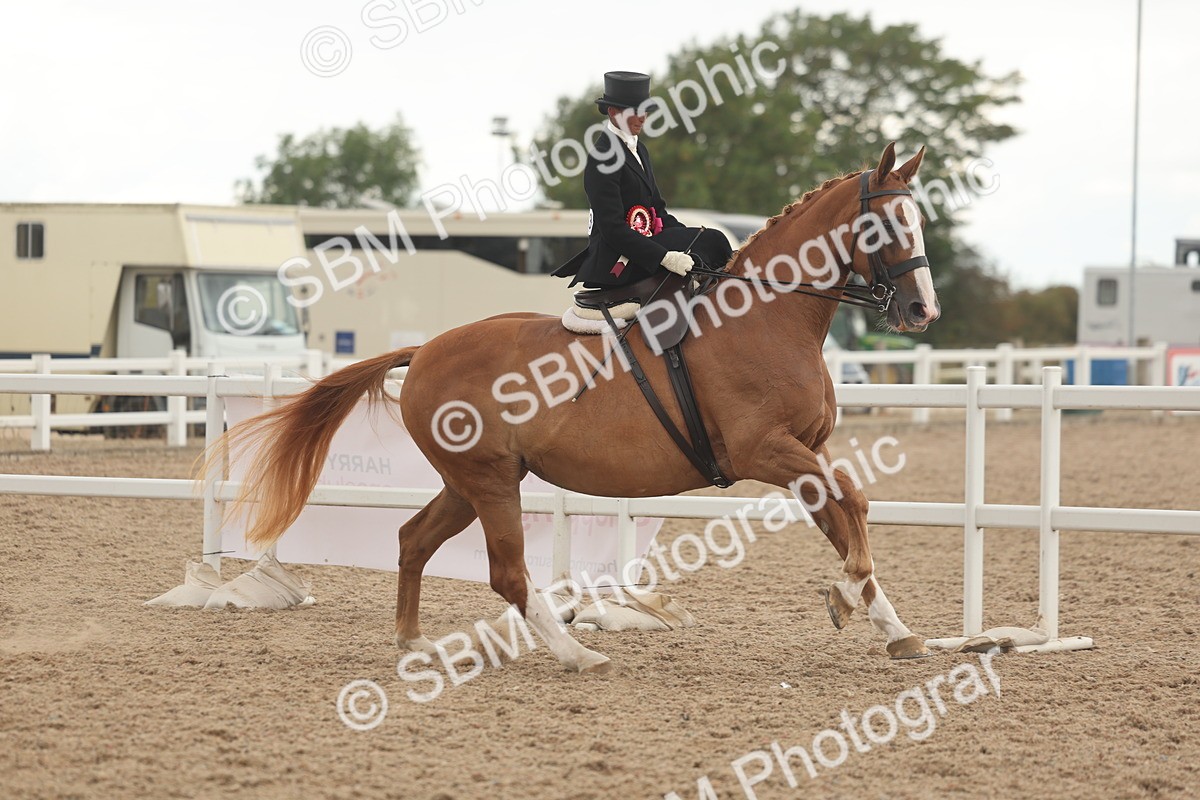 SBM_06304 - Class 23 - SSA - Classical