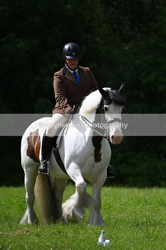 WJ7_1350 - Class 11 Condition & Turnout
