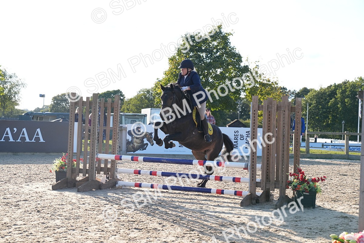 SBM_29908 - J44 - Super Speedy Scurry Open - 70cm