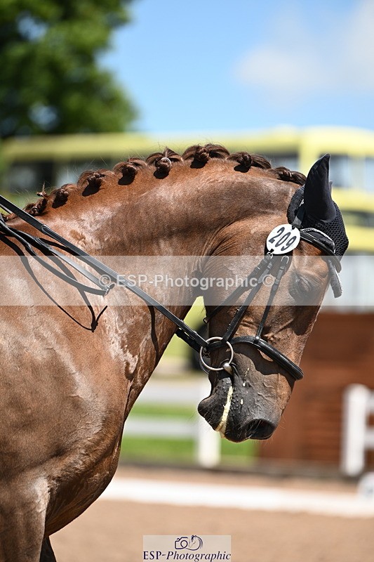 240621A-134753-04162 - Cls 8 BD Elementary 53