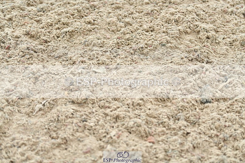 230721A-125958-06408 - Cls 14, 1 Star Bronze 1.10m