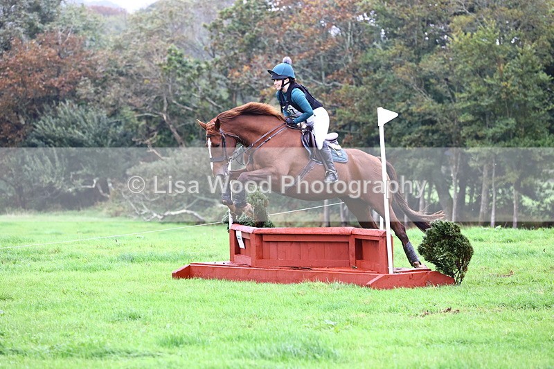 JPP_5240 - Class 2:  70cm: Zig Zag