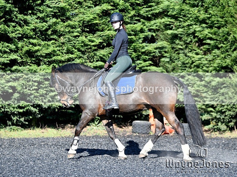 WJ5_0531 - Kelly Harris - Franklin balls, training at Tanners 05-04-25