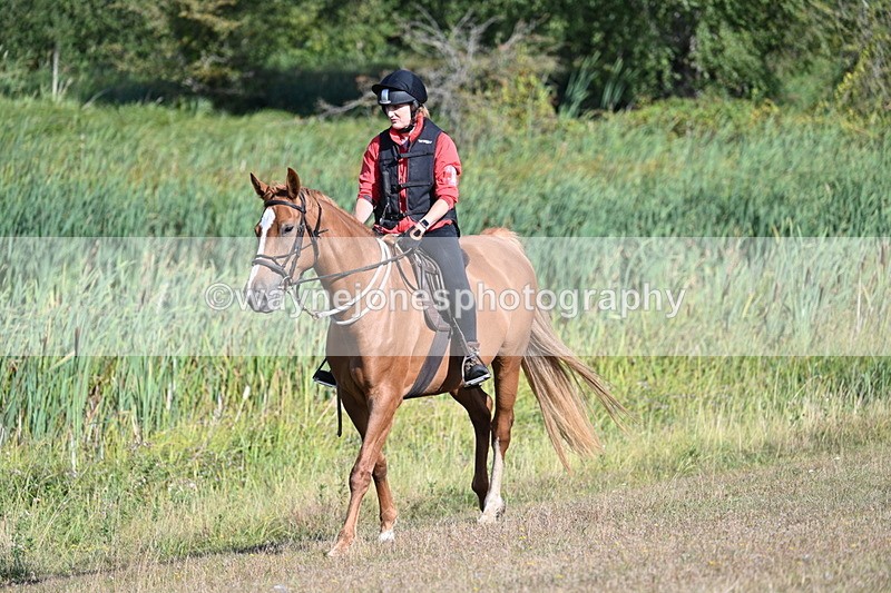 WJ7_3193 - Time 09:42 to 10:02