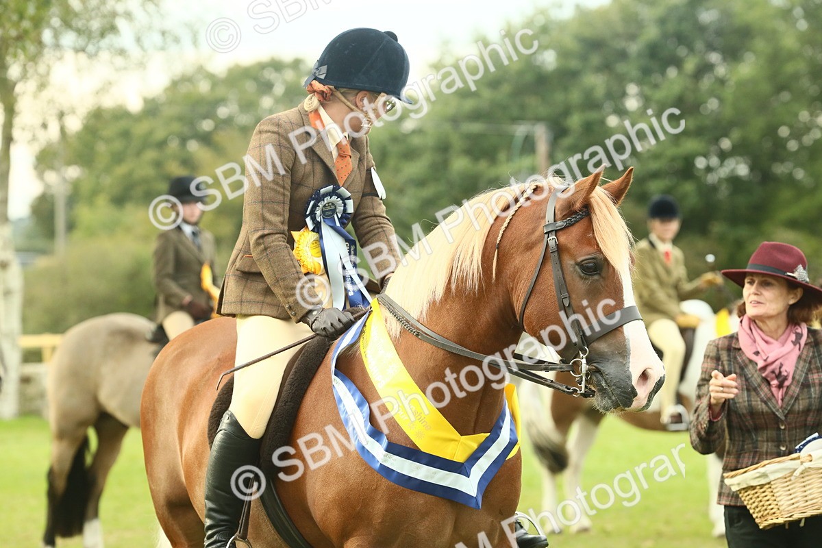 SBM_75113 - Ridden Pony Supreme Championship