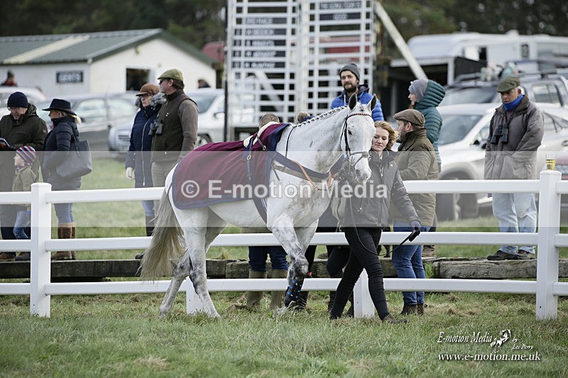 PtP 281121 0385 - Hursley Hambledon Point-to-Point Larkhill 28/11/21