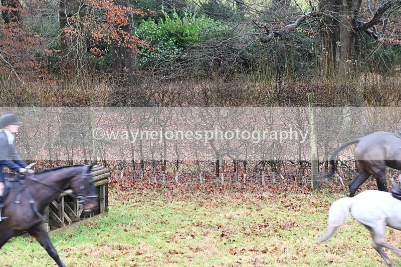 WJ6_4482 - Camera 2