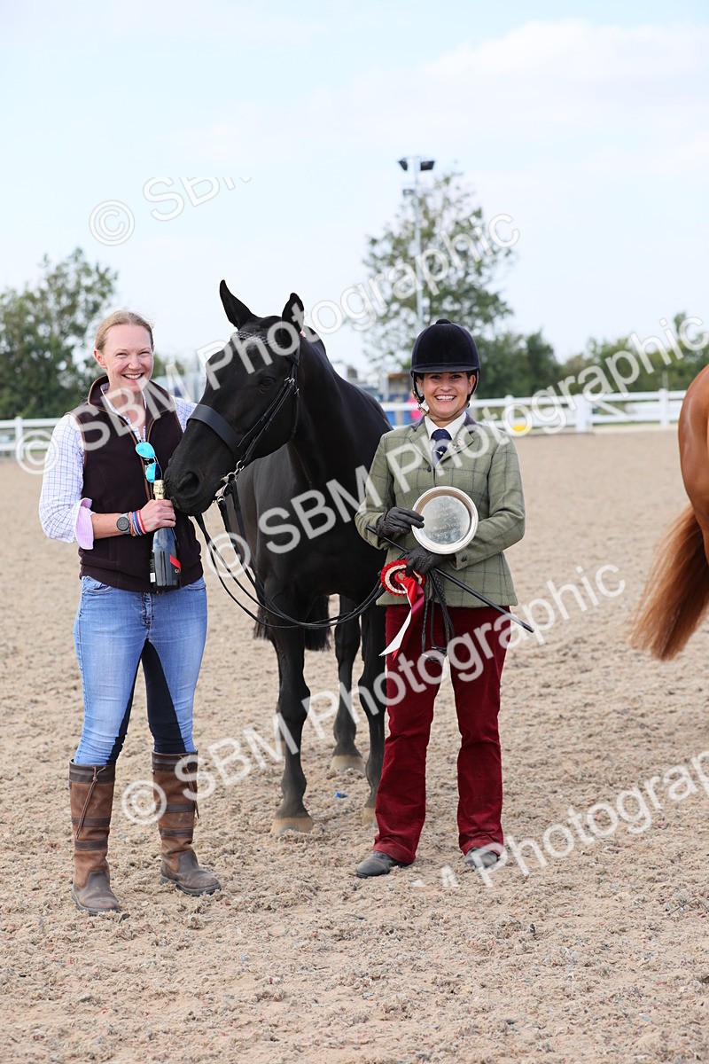 SBM_15848 - Class 312 IH Competition Horse/Pony