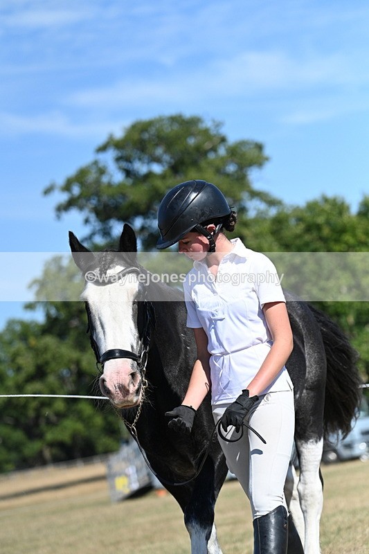 WJ7_1806 - Class 43 Best Six Legs (In hand)