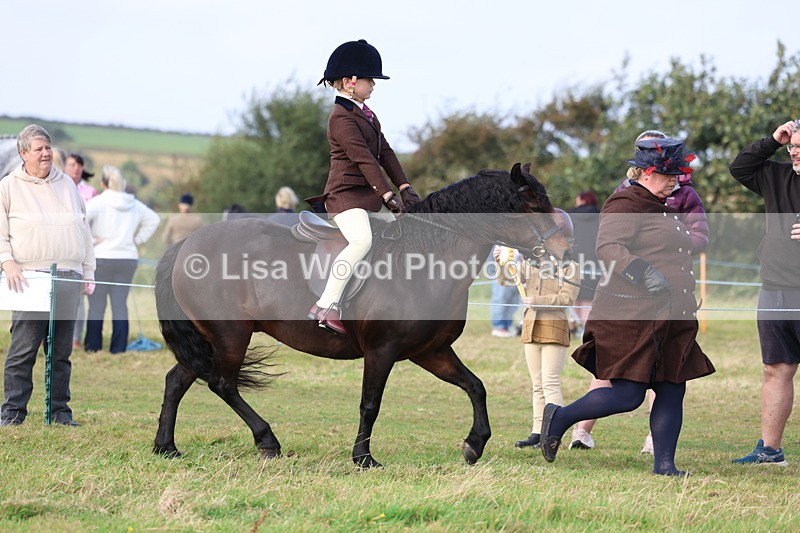 3E7A3413 - Class 2: Lead rein