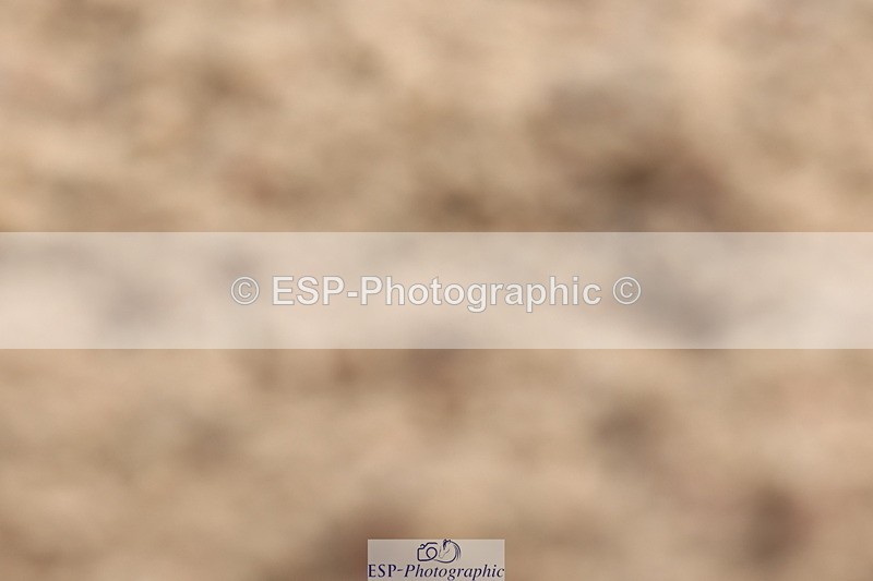 240622A-093127-07091 - Cls 24 BD Prelim 15