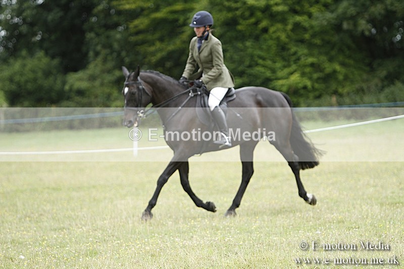 BVR160717-2199 - Ring 3 BVRC Show 16/07/17