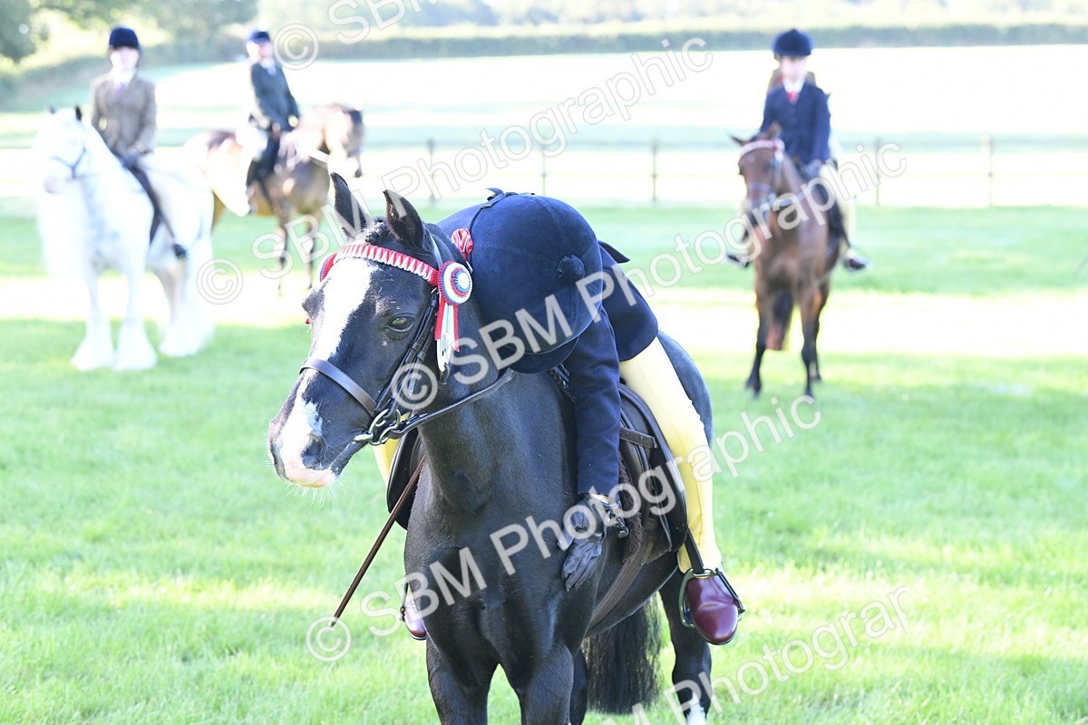 SBM_34082 - S16 - Condition & Turnout - Ridden