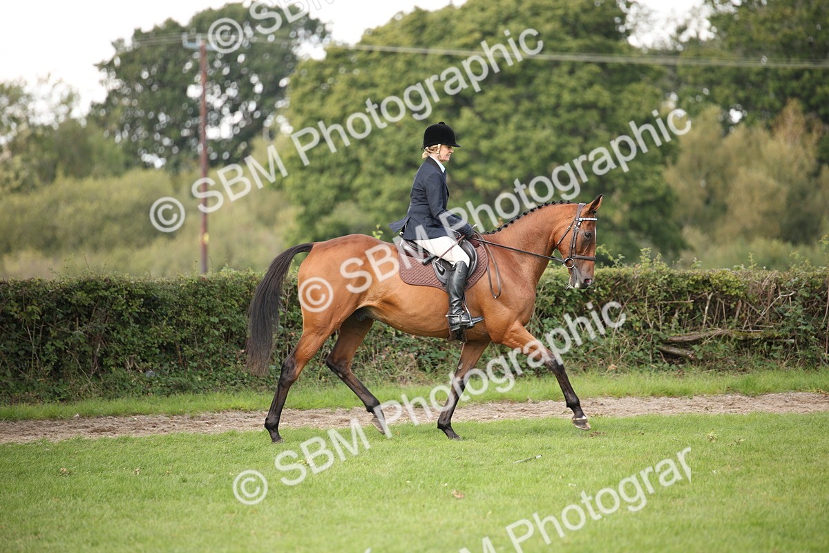 SBM_65907 - S64 - Riding Horse & Hack & Thoroughbred Ridden
