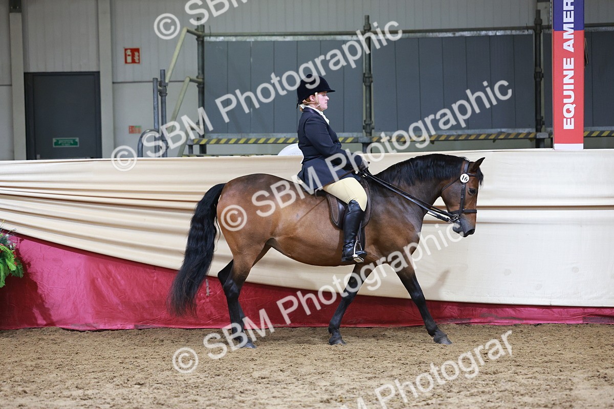 SBM_18693 - Class 952 - M&M Ridden Supreme Final