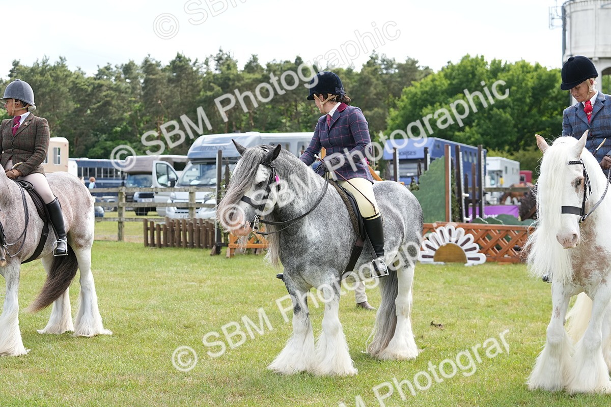 SBM_17311 - Class 107-108 - LIHS BSPS Performance Coloured Horse Pony