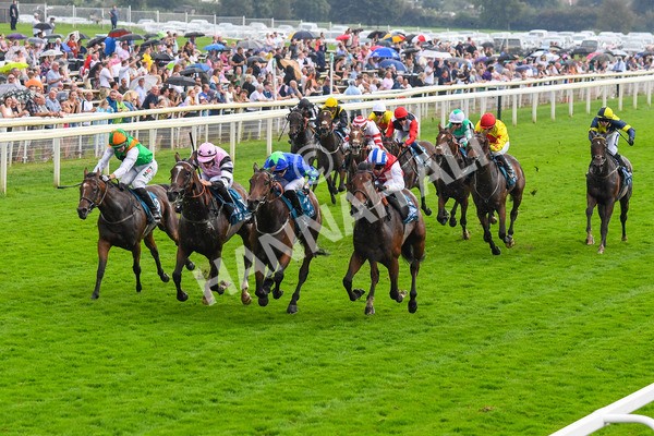 100923-Race 6-Anjo Bonita-1064 - Race 6 4.25pm Hanson Springs 60th Anniversary Handicap at York