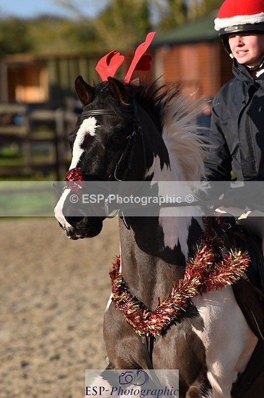 231210-125820-00617 - Cls 4 60cm