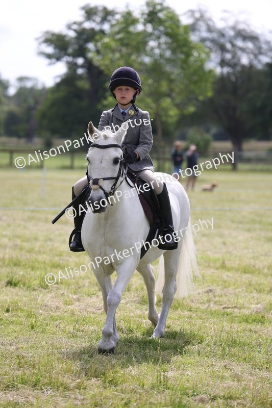 20260614-0532 - Class 20 - Beginners Working Hunter Pony