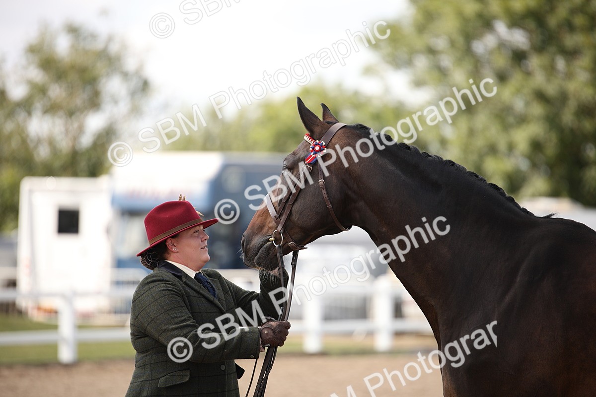 SBM_03786 - Class 19 Judge's Favourite