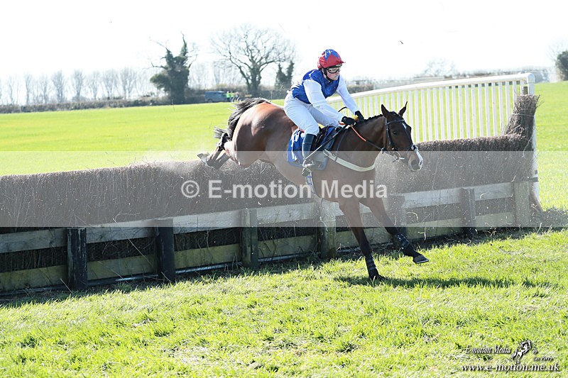 PtP 210326 124 - VWH Cirencester Races 21/03/26
