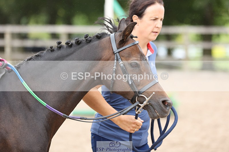 240822X-130700-07029 - 40cm LR R1 12.20 to 14.10