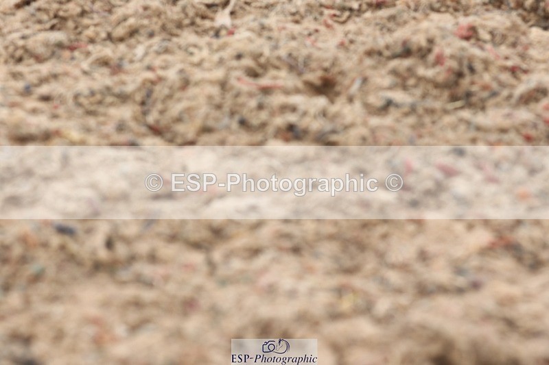 250622-142132-17171 - Cls 53 Medium 5, Start to 14.50