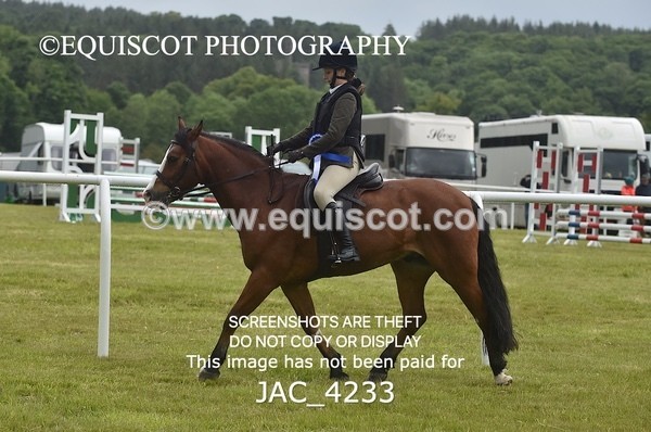 JAC_4233 - WORKING HUNTER CHAMPIONSHIP