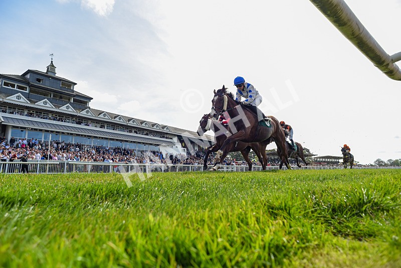 020526-Race 4-Scottish Dancer-1753 - Race 4 3.15pm Sky Bet Sunday At Thirsk 31 May Book Now Handicap