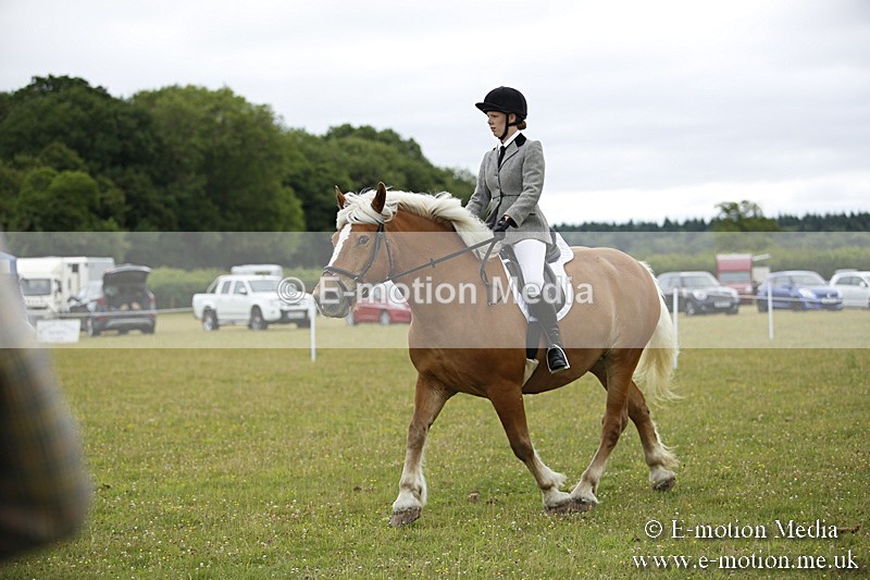 BVR160717-297 - Ring 1 BVRC Show 16/07/17