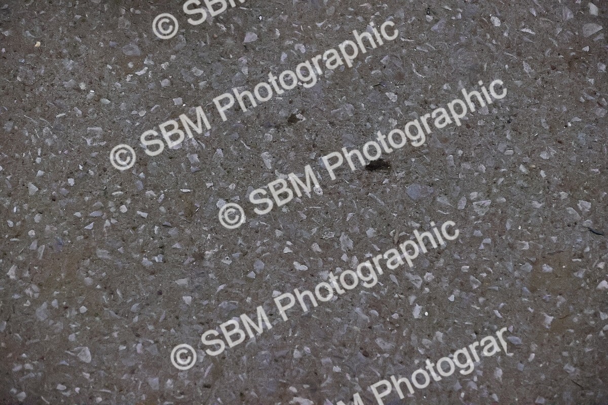 SBM_005416 - Class 9-10-11 - AM4-AM5-FEI PSG