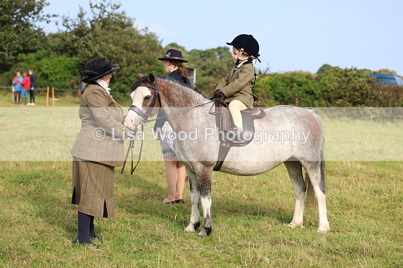 3E7A3641 - Class 2: Lead rein