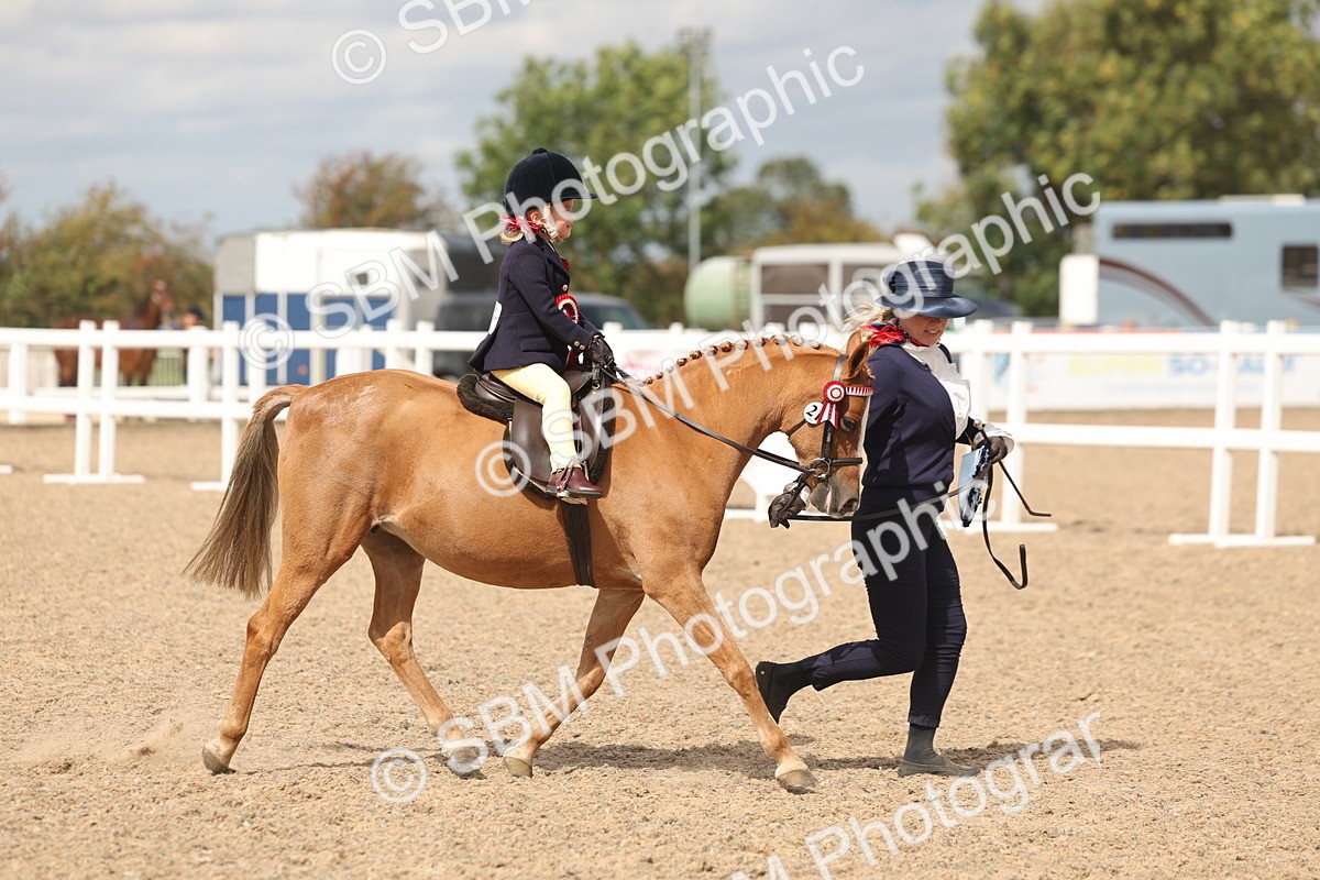 SBM_15854 - Class 309 - Lead Rein Pony