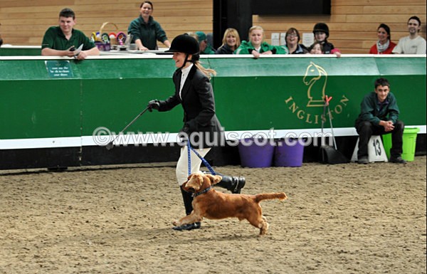 equiscot 3119 - NICOLA CAPPER