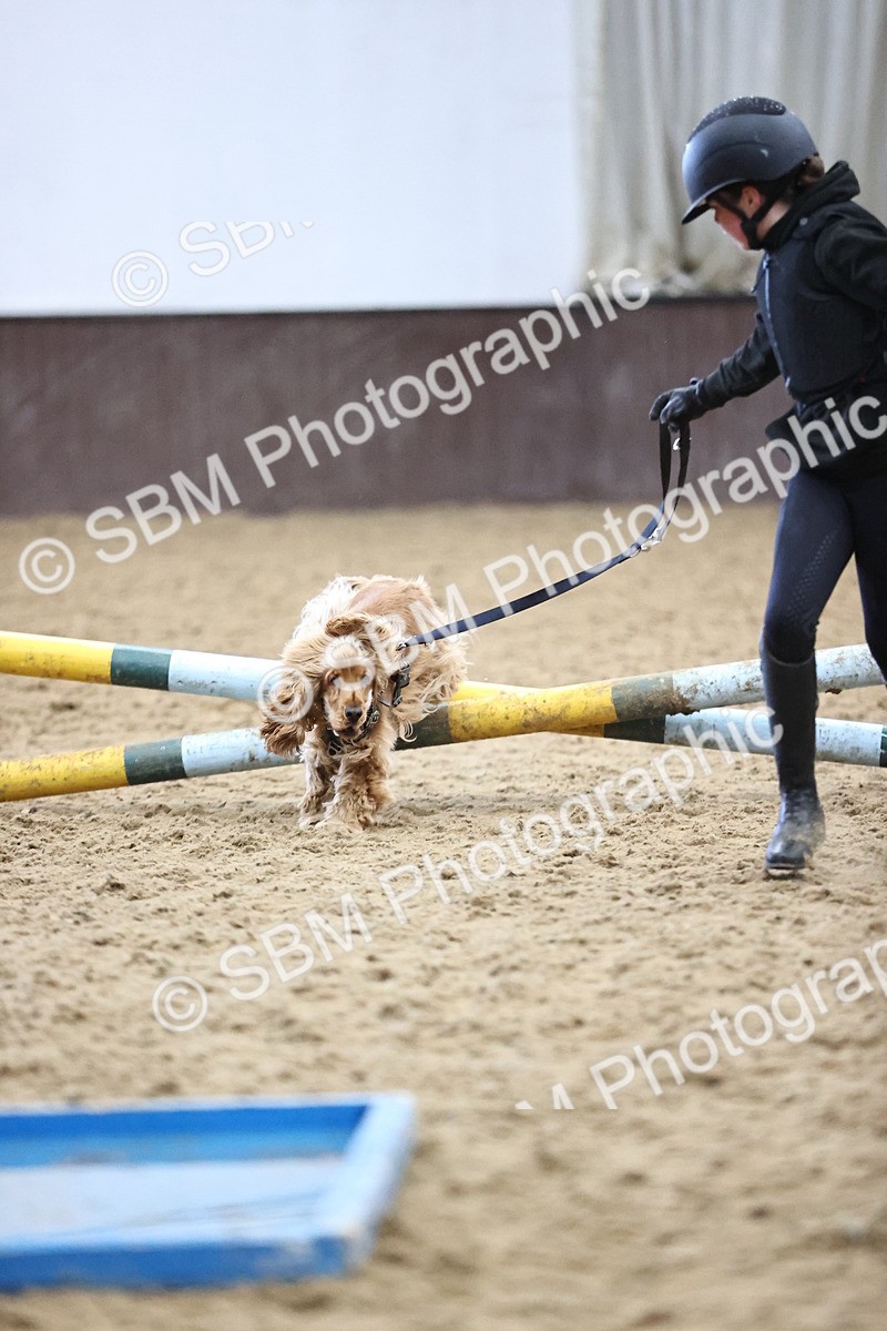 SBM_001413 - Class 3 - Horse & Hound 60cm