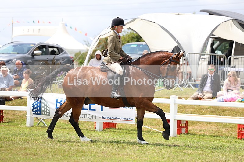 3E7A1945 - Class 10: Open Cob