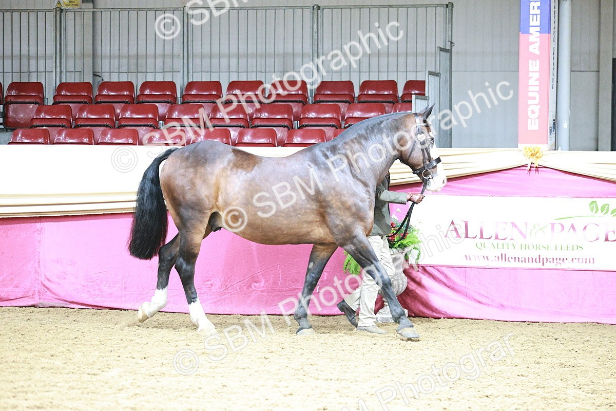 SBM_01128 - Class 3A - Area IH Pre-Vet