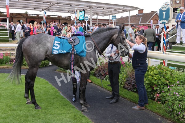 yr23072022r6-48 - Race 6 5.00pm Sky Bet Partnership with Support Dogs Stakes