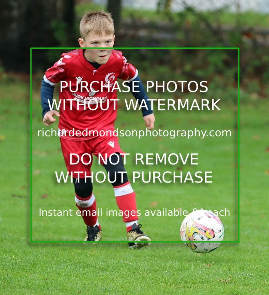 IMG_7064 - Ibis Under 8's (19/10/24)