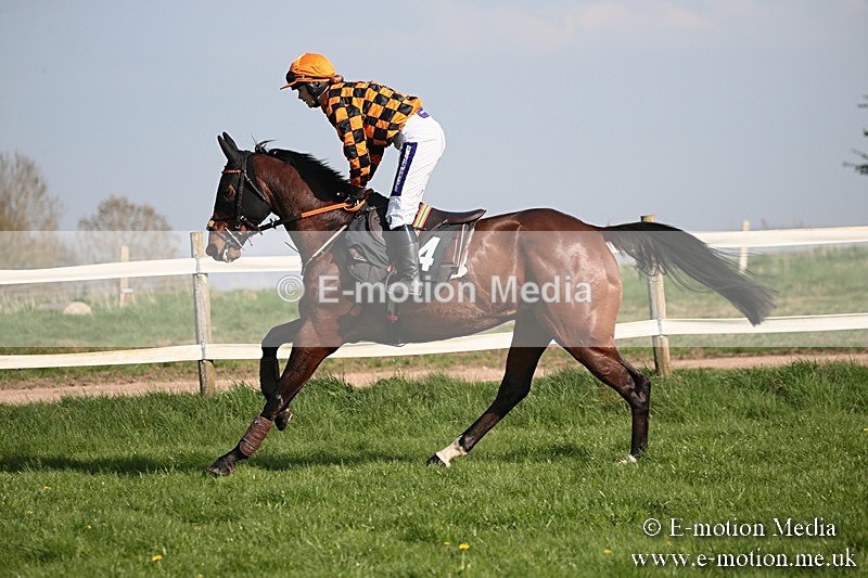 PtP 210418 481 - South & West Wilts Point-to-Point Larkhill 21/04/18