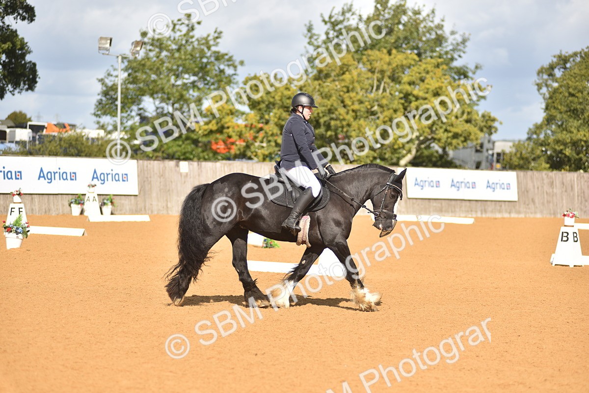 SBM_03255 - D4 - Small Tour Championship Intro 4